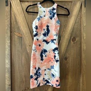 NWT Pink lily floral dress